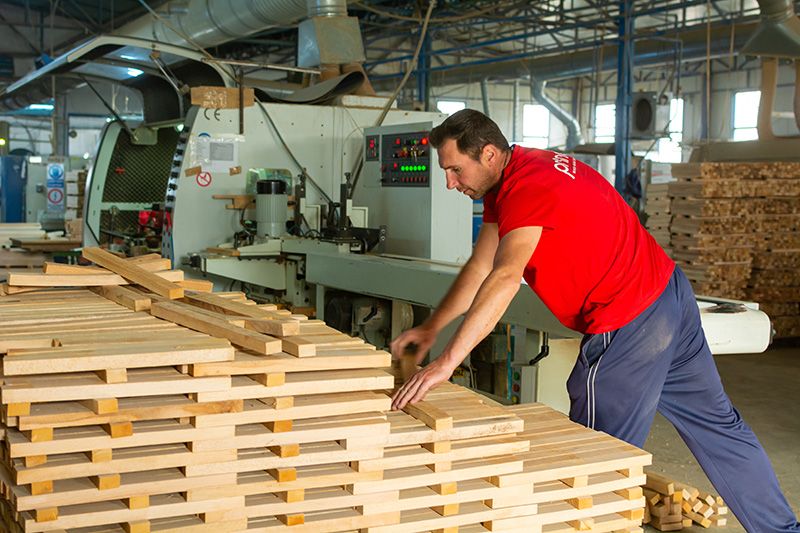 A man in a red t-shirt and blue sweatpants works in a wood processing factory, handling stacks of raw lumber next to a large industrial Princo machine.